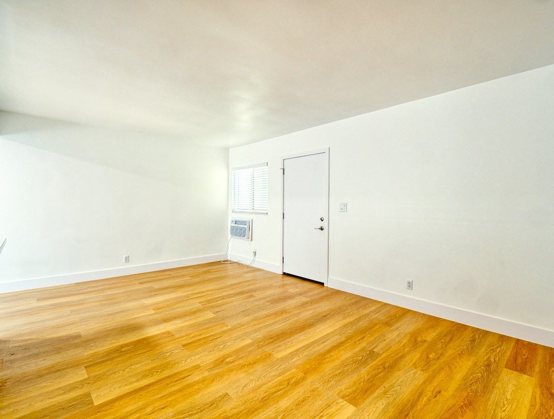 Gallery Photo 12